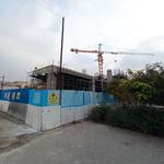 پروژه تندیس اقاقیا