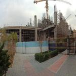 پروژه تندیس اقاقیا