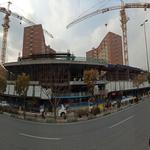 پروژه تندیس اقاقیا