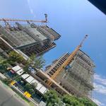 پروژه تندیس اقاقیا