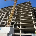 پروژه شاهان اشرفی