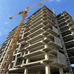 شاهان اشرفی منطقه 2