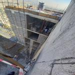 پروژه تندیس اقاقیا