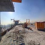 پروژه تندیس اقاقیا