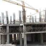 پروژه نارنجستان5-تابستان 1403