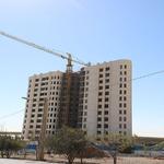 مراحل آخر کاری در پروژه نارنجستان4-پاییز 1403