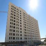 مراحل آخر کاری در پروژه نارنجستان4-پاییز 1403