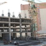 پیشرفت نارنجستان5-پاییز 1403