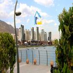 سهام ارتمیس