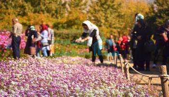 معرفی باغ گیاه  شناسی در منطقه 22| چیتگر