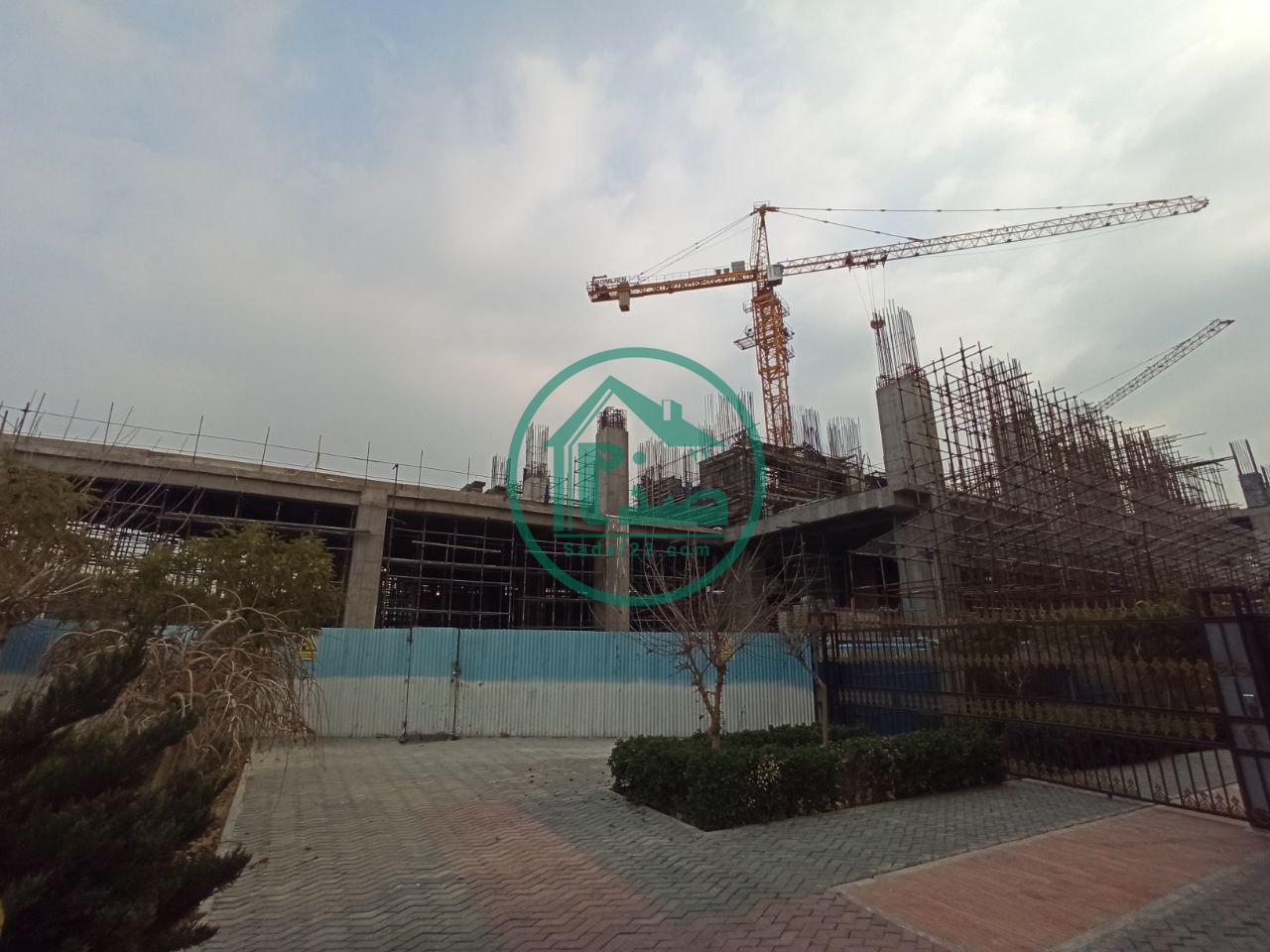 پروژه تندیس اقاقیا