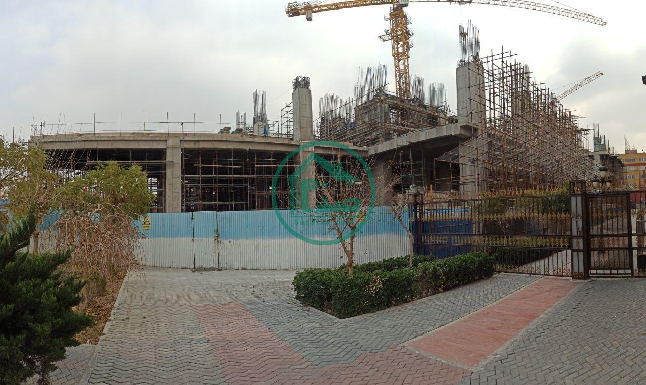 پروژه تندیس اقاقیا