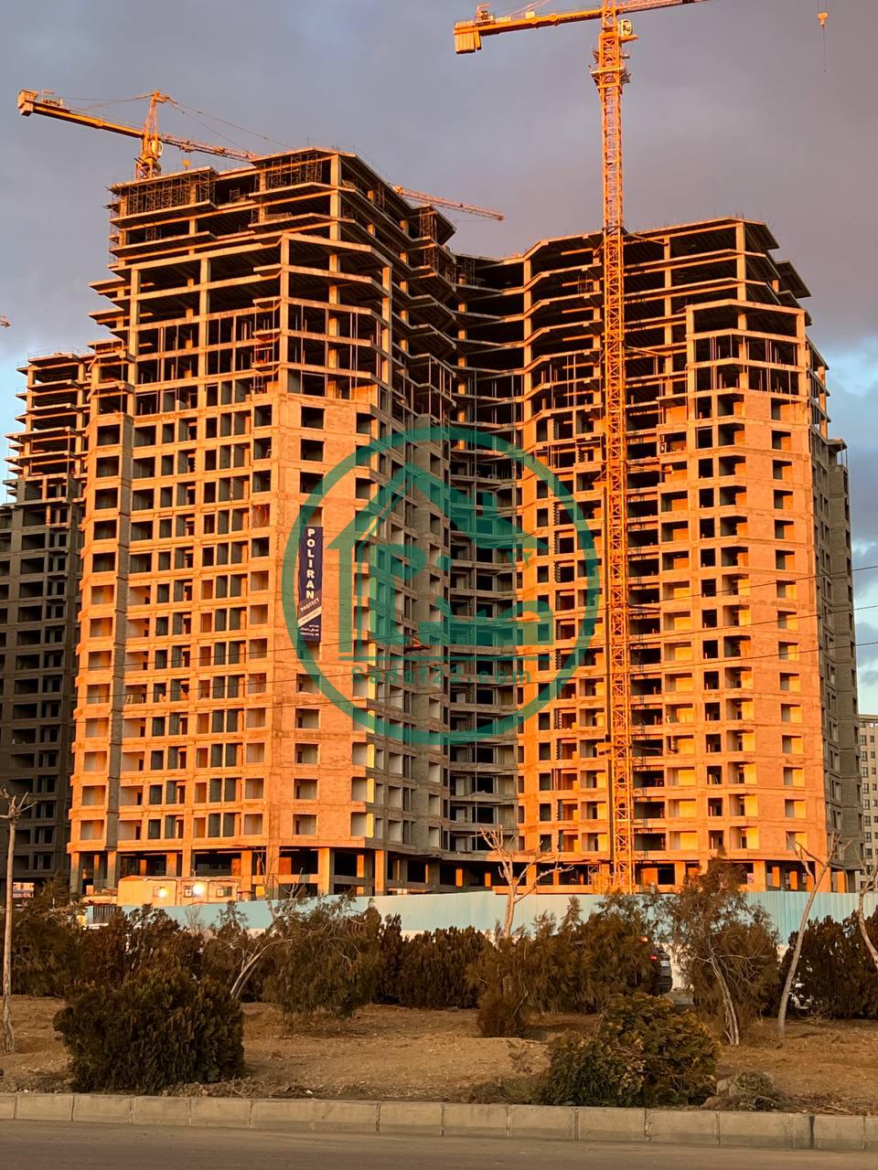 شمیم رحمت3 نخل -زمستان 1402