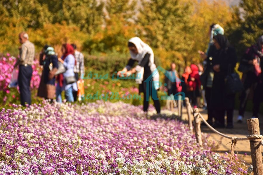 معرفی باغ گیاه  شناسی در منطقه 22| چیتگر